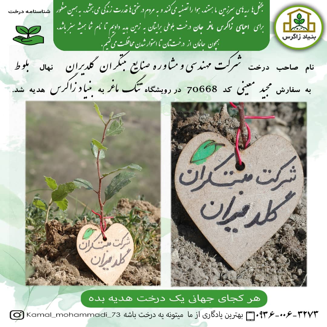 روز درخت کاری – اسفند 1401 - شرکت مهندسی و مشاوره صنایع مبتکران گلدیران - بنیاد زاگرس